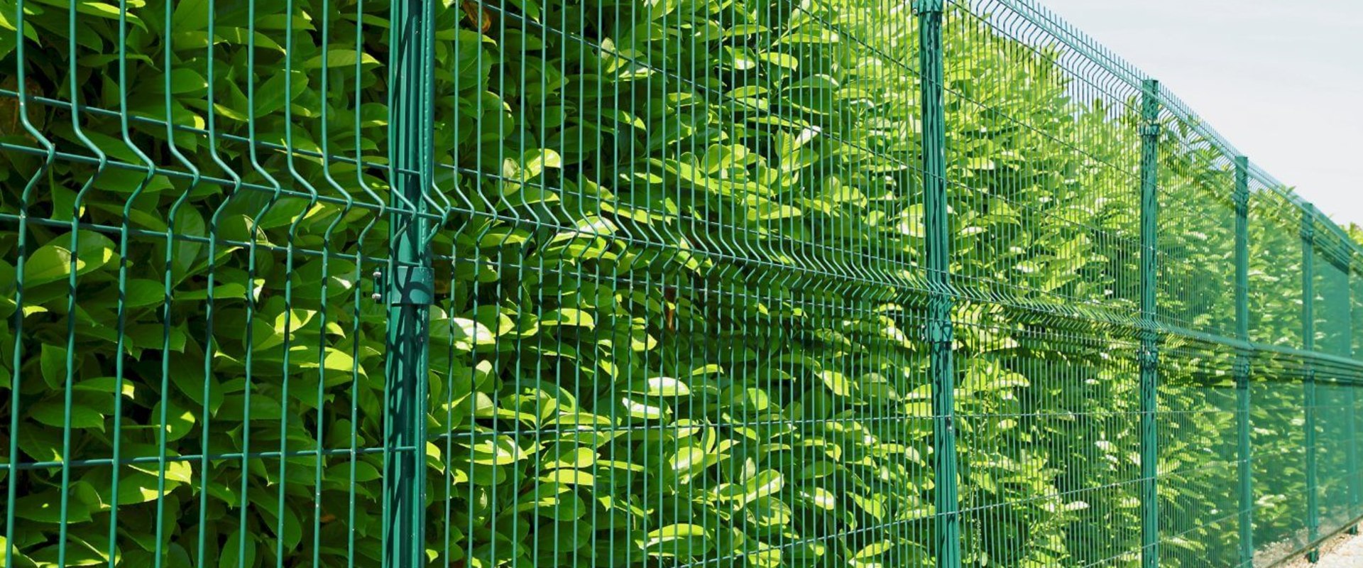 Tout ce que vous devez savoir sur les clôtures à mailles losangées galvanisées vertes